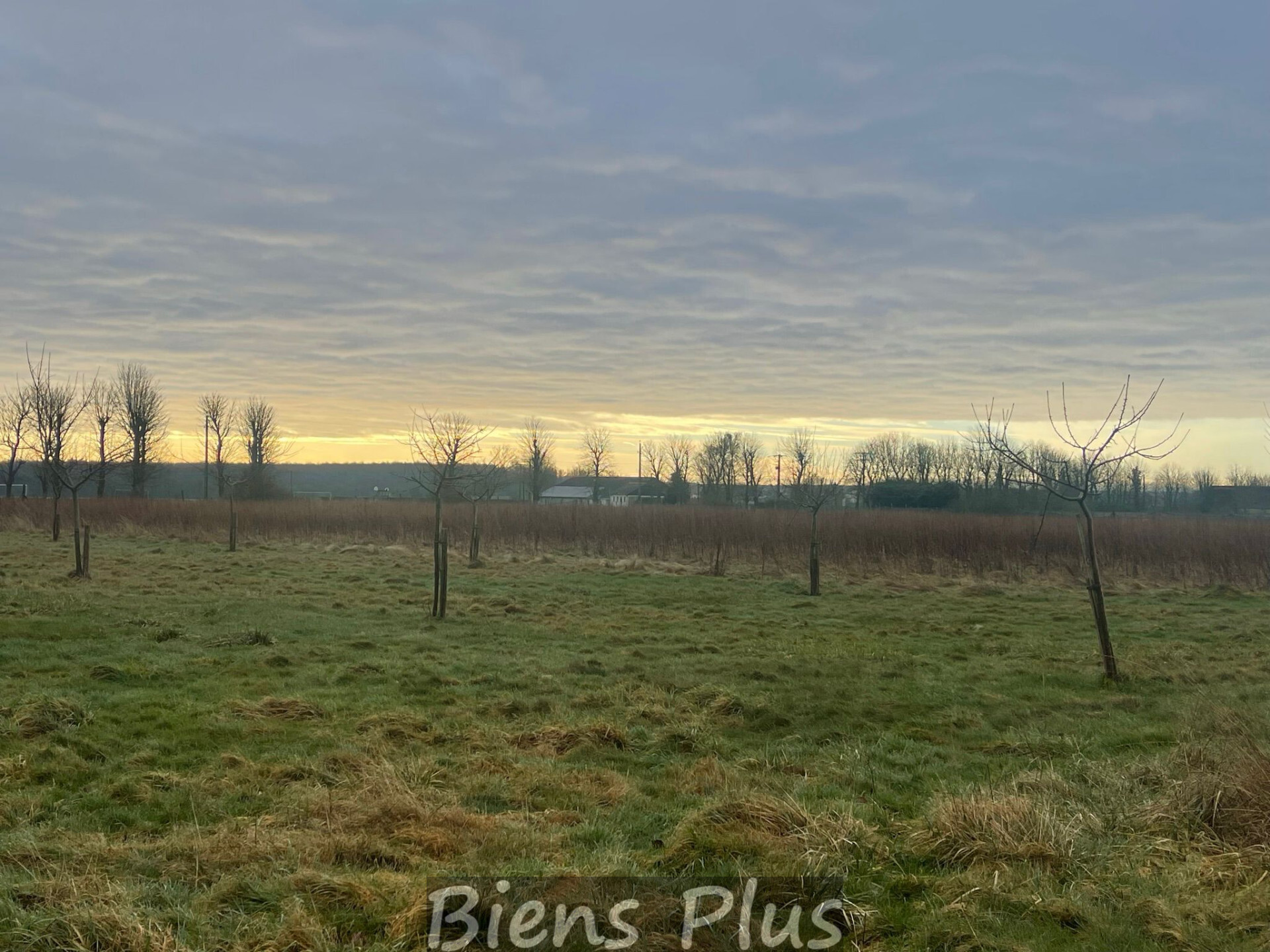 Longère à rénover sur 4 HA de terrain